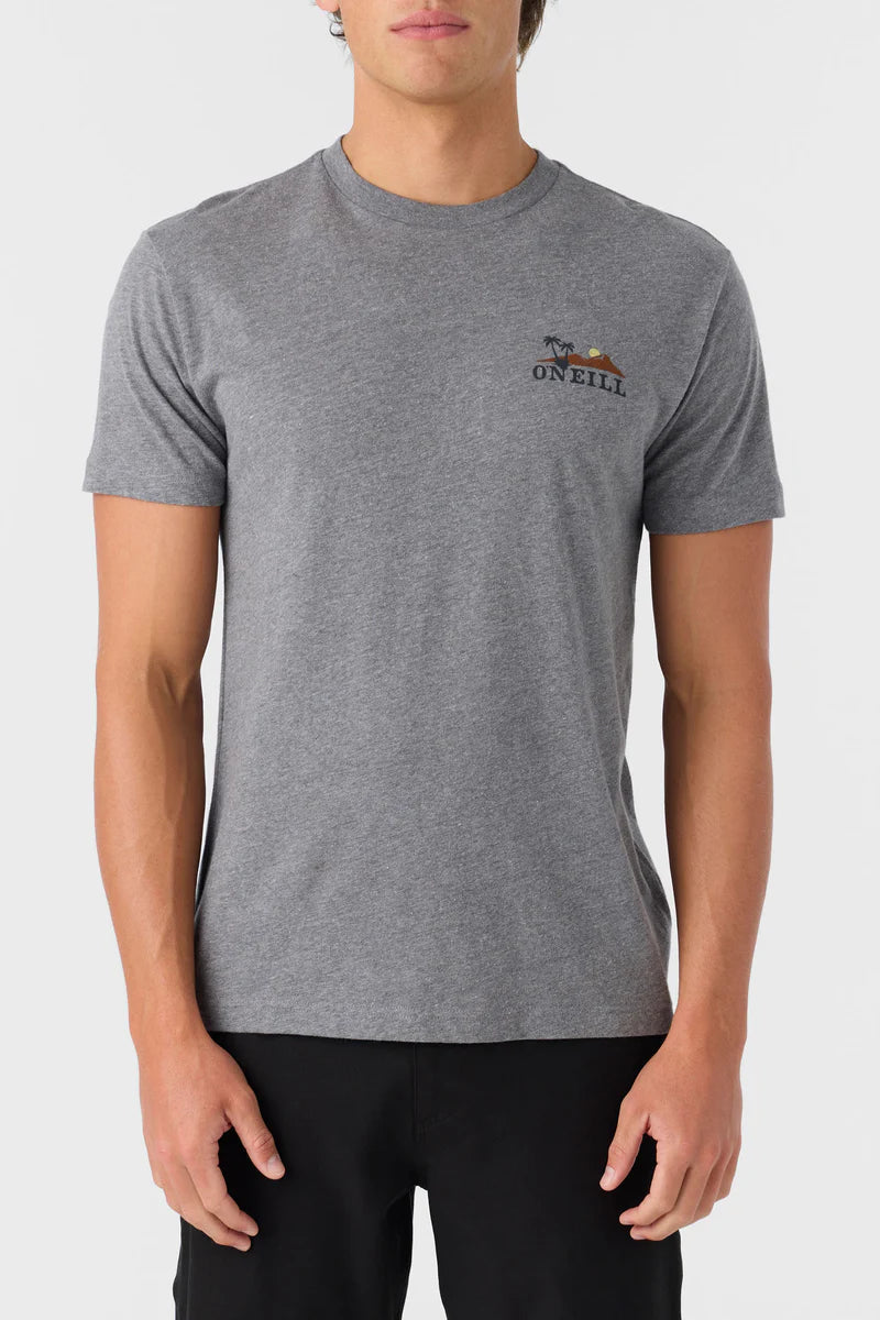 O'NeilL Dos Hermanos T Shirt - Heather Grey Mens T Shirt