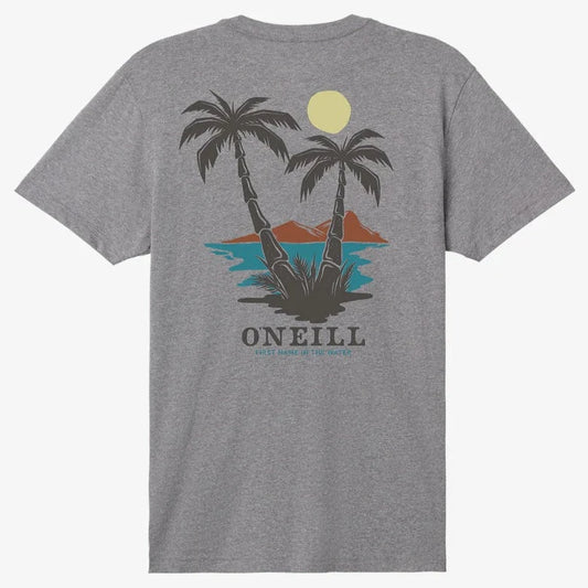 O'NeilL Dos Hermanos T Shirt - Heather Grey Mens T Shirt